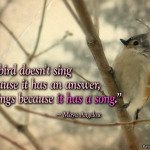 inspirational-quote-bird