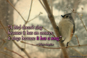 inspirational-quote-bird