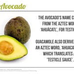 Avocados – some fun facts